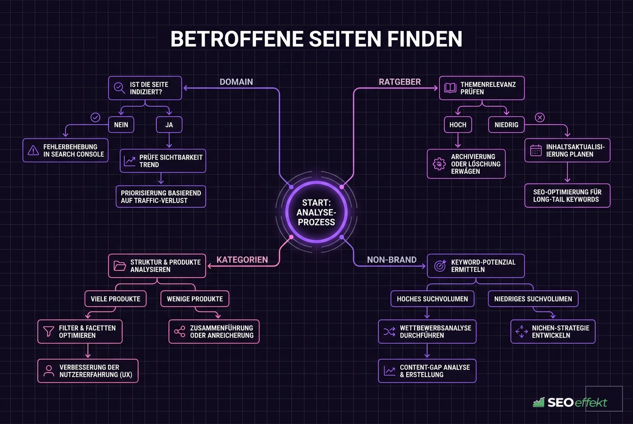 Analysepfad zur Eingrenzung der vom Google-Update betroffenen Seiten