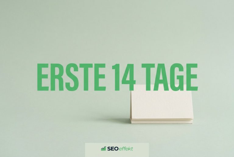 SEO-Traffic-Einbruch nach dem Relaunch: Soforthilfe für die ersten 14 Tage