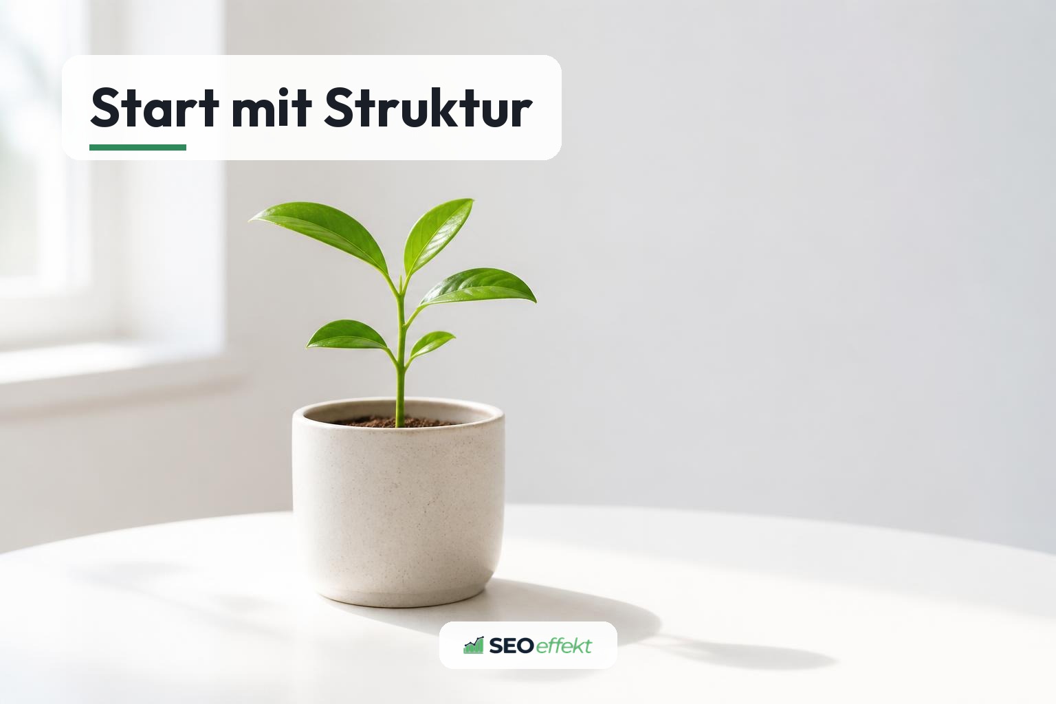 SEO für neue Webseiten: strukturierter Start